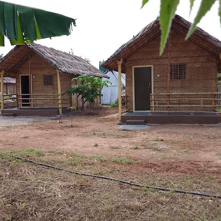 Monkey Paradise Hampi Exterior photo