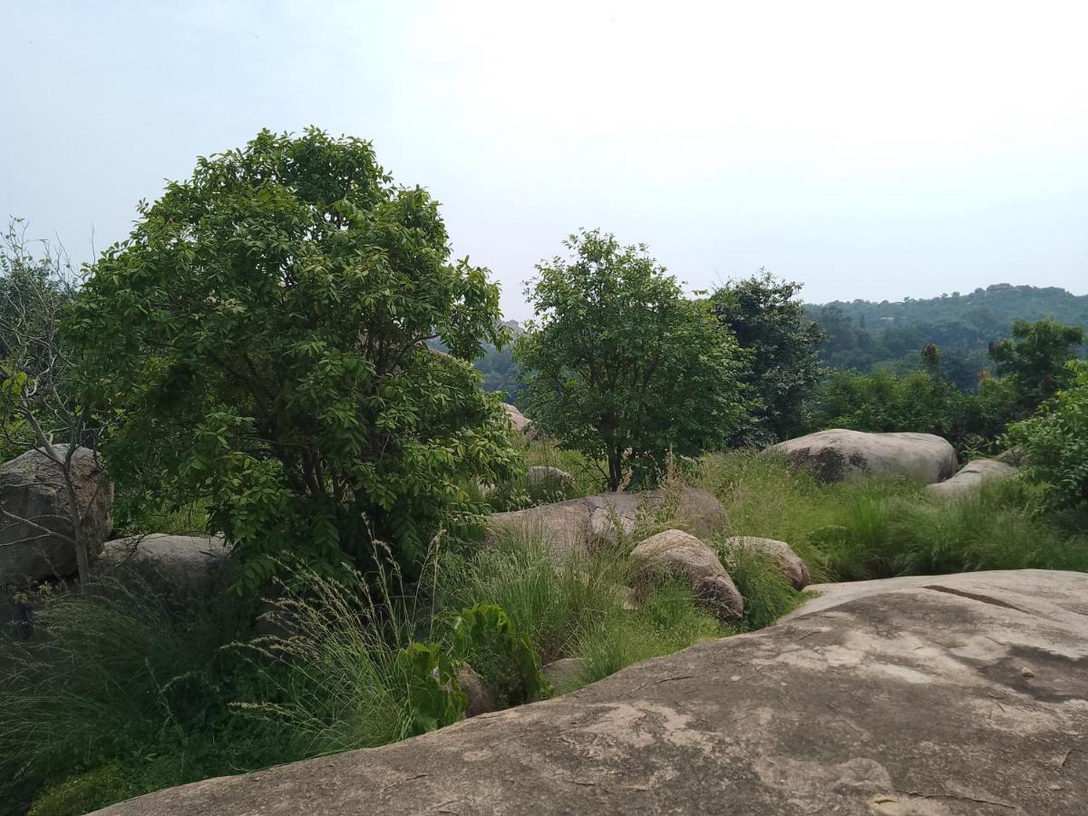 Monkey Paradise Hampi Exterior photo